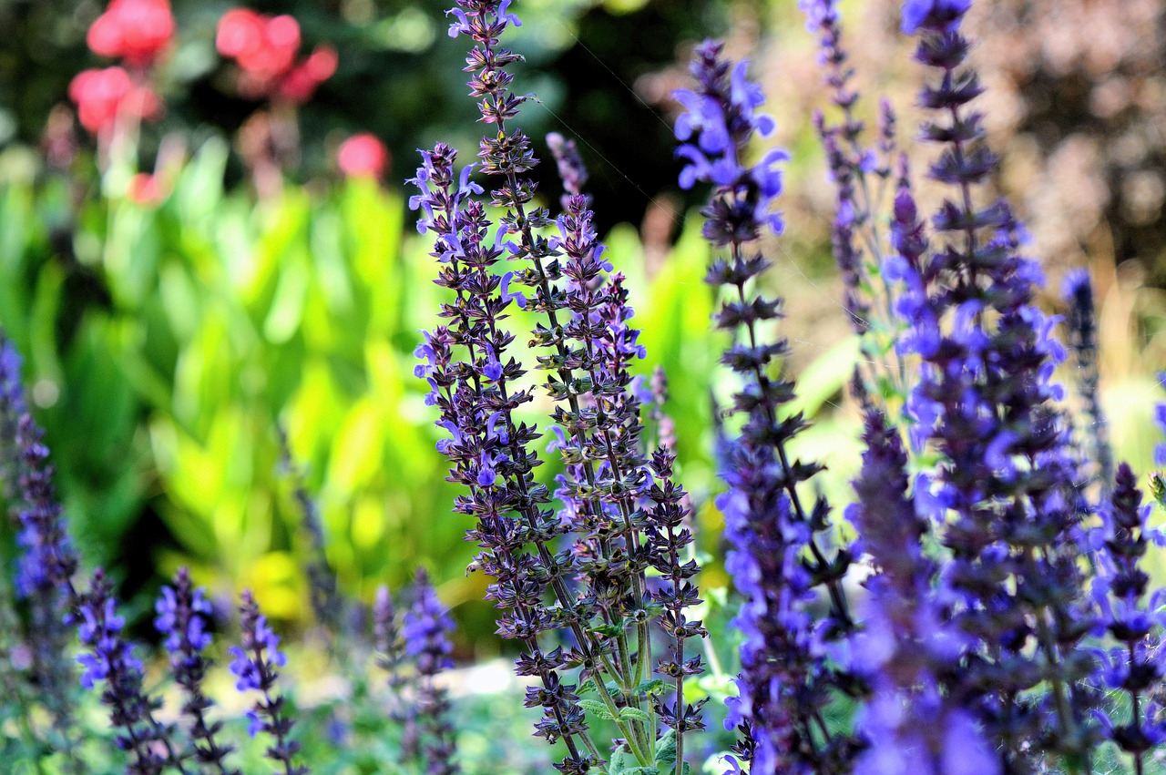 How to Create a DIY Herb Garden in Your Kitchen